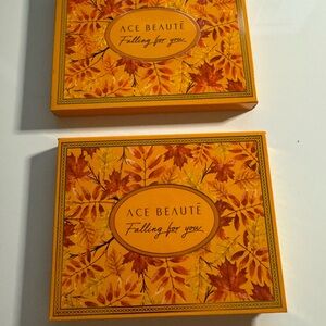 Ace Beaute Falling for you eyeshadow makeup palette